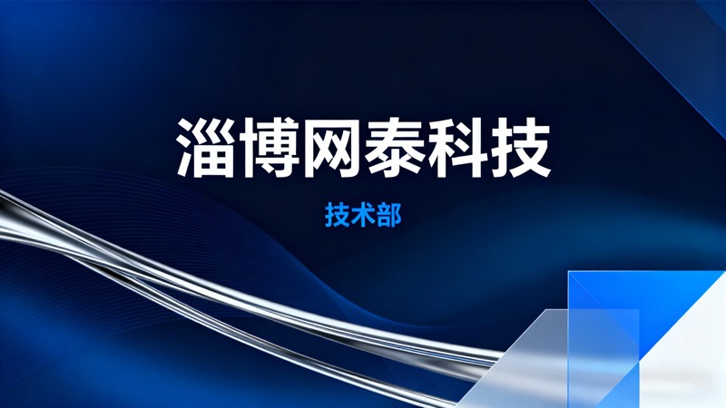 淄博网泰科技谷歌独立站技术部